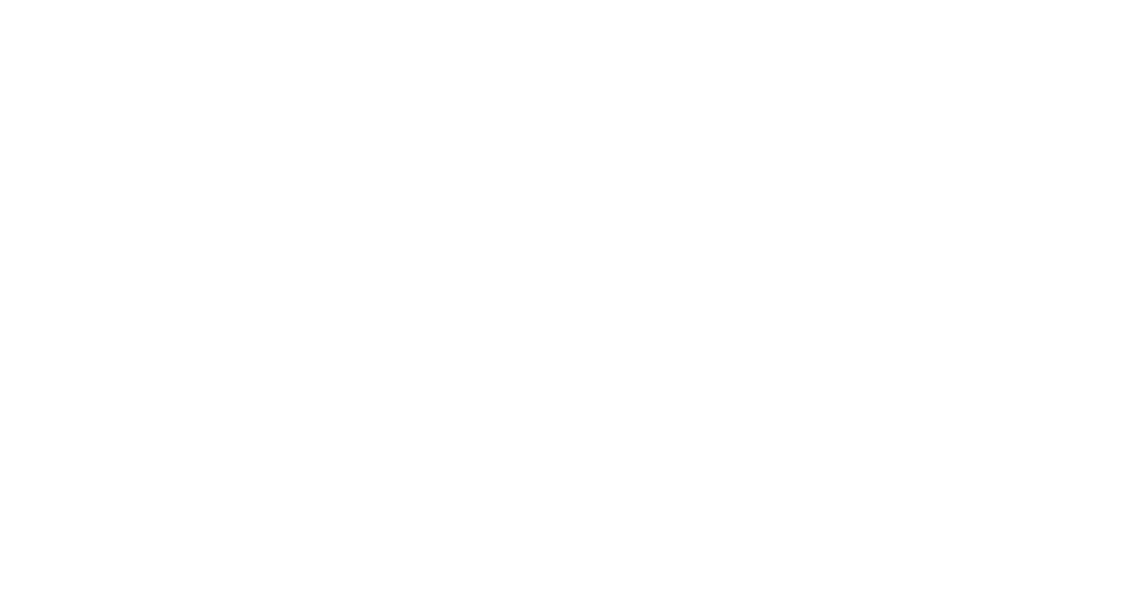 The Island Festival